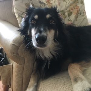 Meet your Posher, Dvn